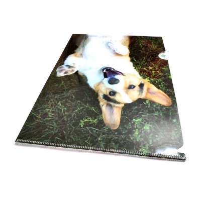 22C thickness A3 size pvc plastic sheets file folder with custom logo